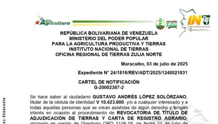 St15L4RW MI ESPERANZA