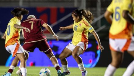 Vinotinto