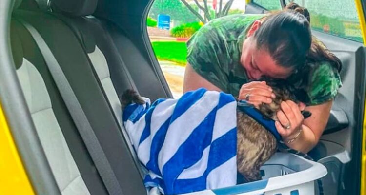 Esta perra volvió a su hogar 8 años después de extraviarse durante un huracán 1 Perra