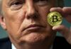 Criptomonedas