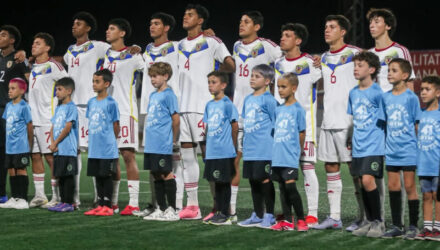 Vinotinto