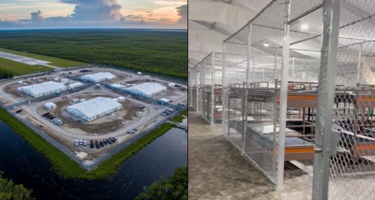 Una jueza bloqueó las obras en el «Alligator Alcatraz» de Florida para migrantes 1 Alligator