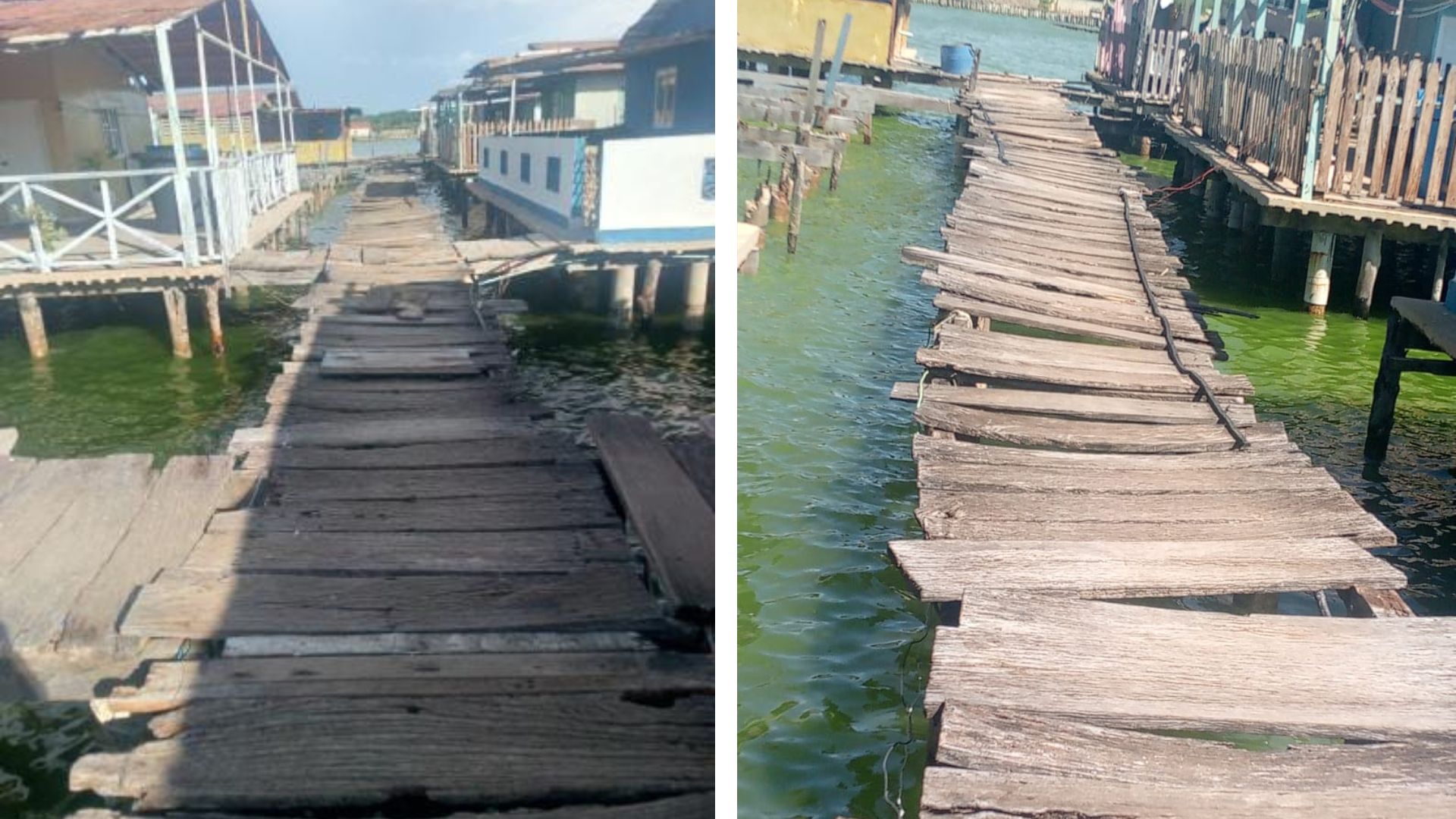 Santa Rosa de Agua: Los puentes peatonales de los palafitos se están cayendo a pedazos 6 Diseno sin titulo 3
