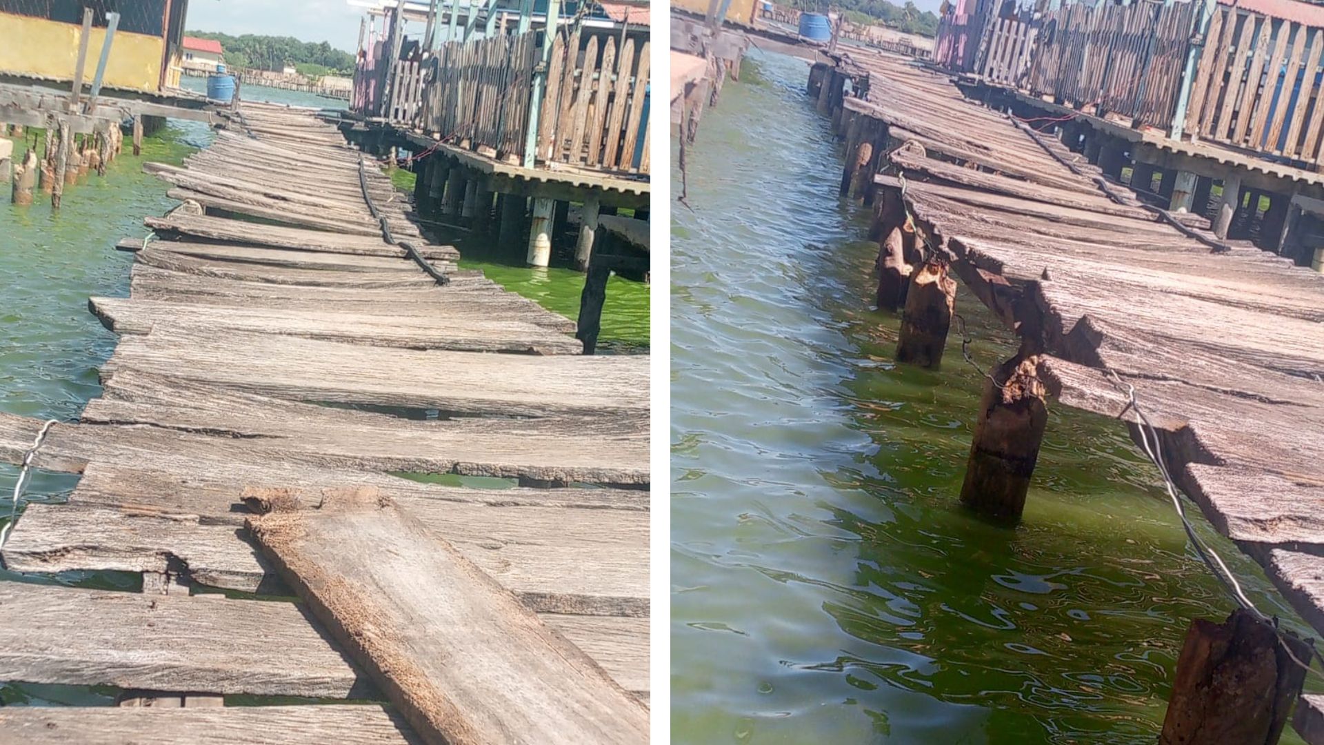 Santa Rosa de Agua: Los puentes peatonales de los palafitos se están cayendo a pedazos 4 Diseno sin titulo 4
