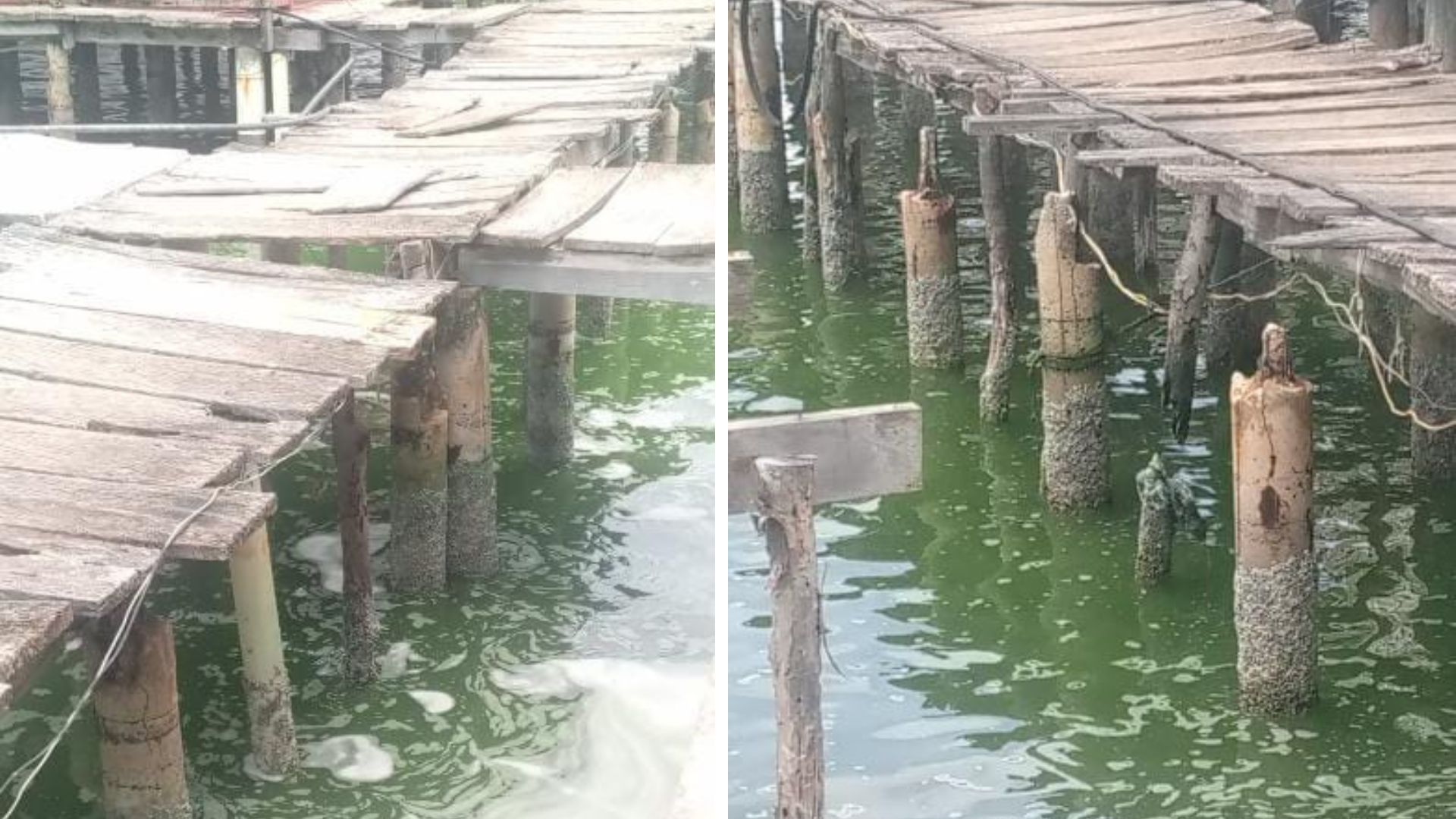 Santa Rosa de Agua: Los puentes peatonales de los palafitos se están cayendo a pedazos 2 Diseno sin titulo