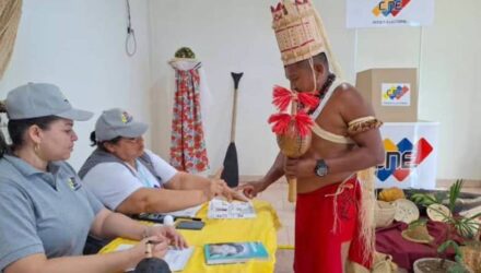 Elecciones indigenas