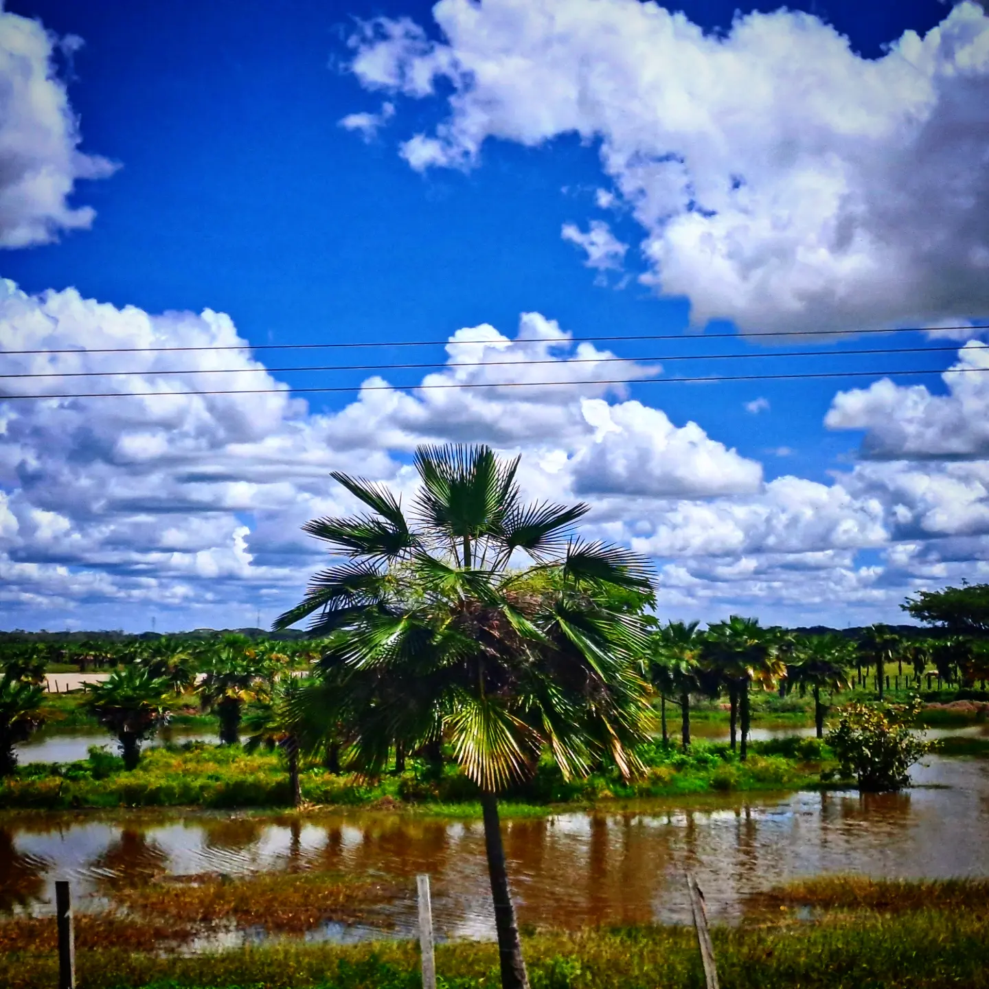 ¿Por qué el Orinoco está inundando a la mitad del país? 2 Imagen 6