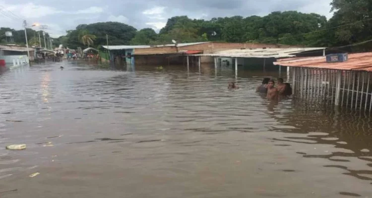 ¿Por qué el Orinoco está inundando a la mitad del país? 1 Orinoco