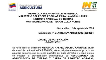 JwfO3VSo LA TRINIDAD