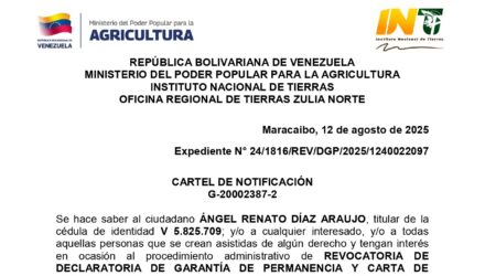 RLXd1O4J PARAISO