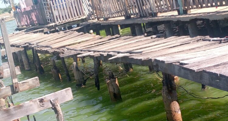 Santa Rosa de Agua: Los puentes peatonales de los palafitos se están cayendo a pedazos 1 santa rosa de agua