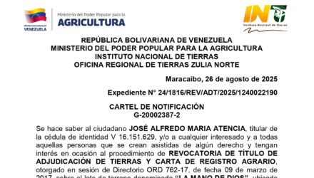 bx1x8TRN LA MANO DE DIOS 1