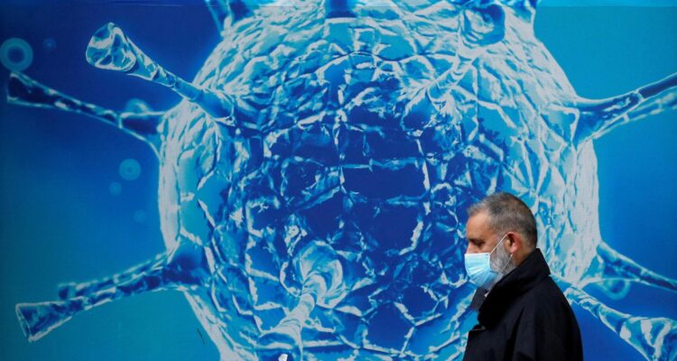 Los cerebros envejecieron más rápido durante la pandemia 1 Cerebro