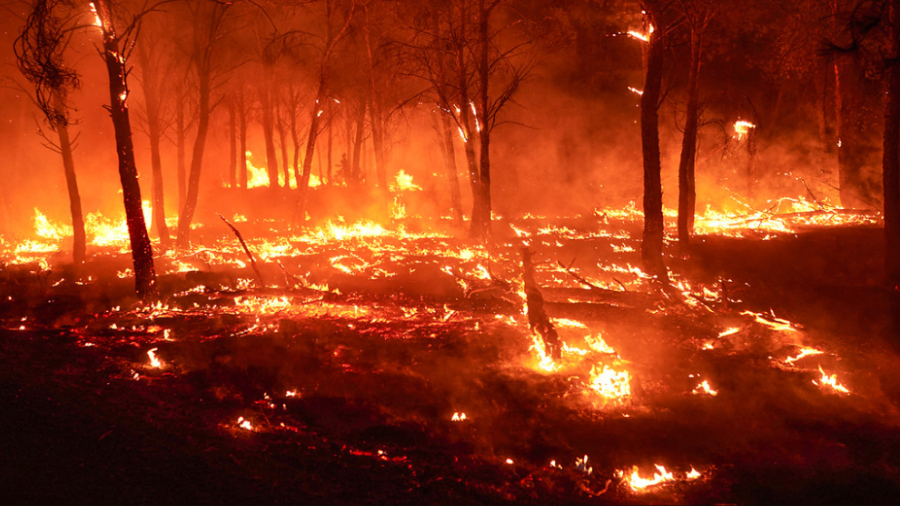 incendios en espanajpeg 46239
