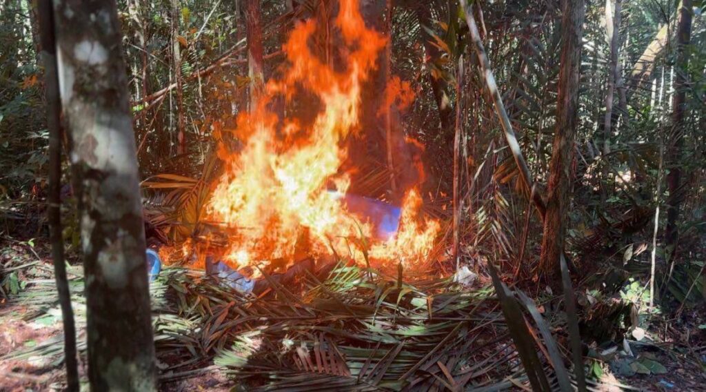 Fanb destruyó más de 10 campamentos Tancol 3 photo4997203322754674181yjpg 46920