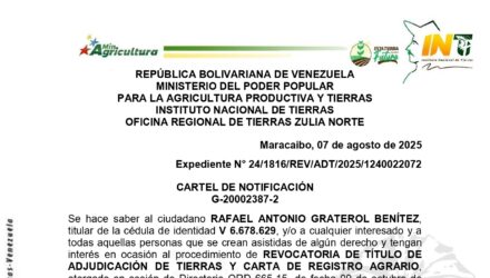 qs972KmE LOS VERALES