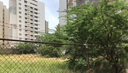 abandonados