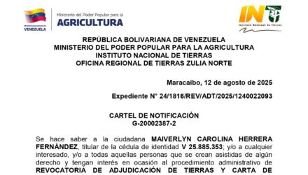 wdtrEV08 MI PORVENIR
