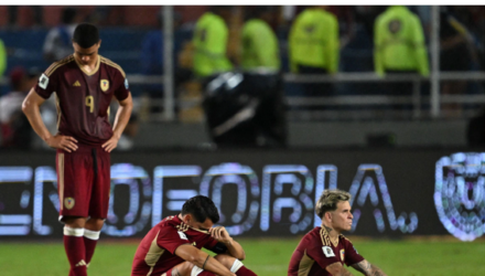 Vinotinto