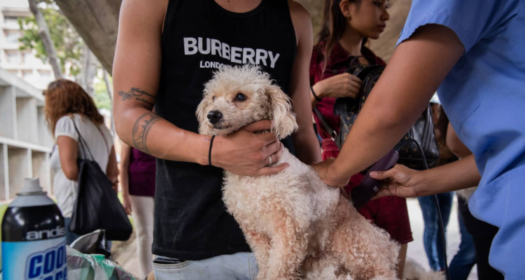 Maracaibo se suma a la jornada masiva de esterilización animal «Castralat 2025» este 4 de octubre 1 Maracaibo