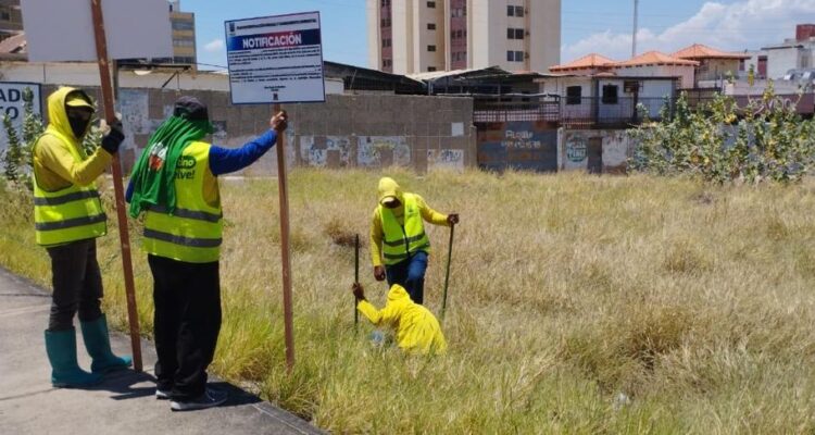 Dueños de terrenos abandonados deben acudir al IMA para ponerse a derecho 1 Terrenos
