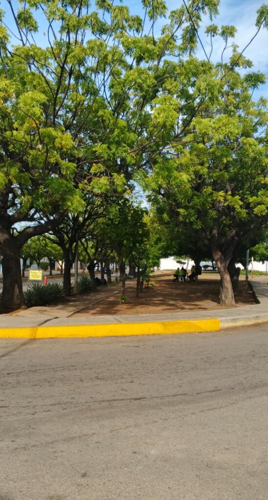 Alcaldía de Maracaibo colocó luminarias en 4 kilómetros de alumbrado público 6 WhatsApp Image 2025 09 19 at 2.58.33 PM 5