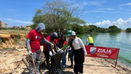 Zulia