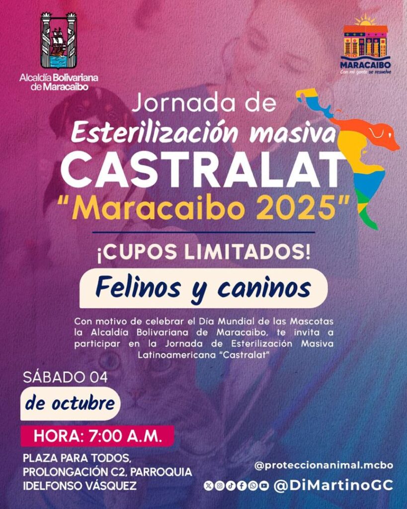 Maracaibo se suma a la jornada masiva de esterilización animal «Castralat 2025» este 4 de octubre 2 WhatsApp Image 2025 09 25 at 10.07.25 AM