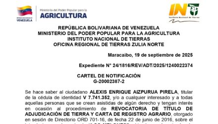 Zs1728ds LOS MELONES