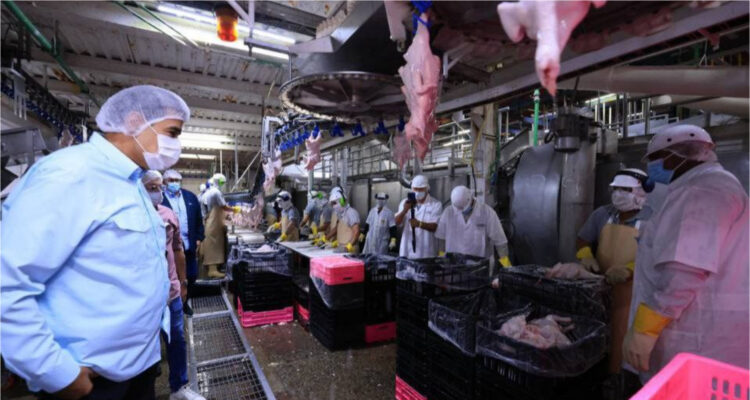 Presidente Maduro: La producción nacional de pollo se ha incrementado en 188 % en los últimos cuatro años 1 Maduro