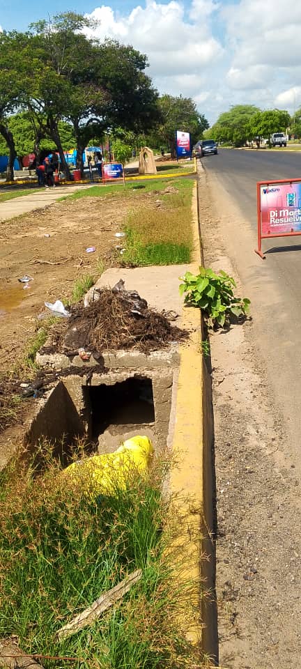 Una tonelada de desechos removió la Alcaldía de Maracaibo de drenajes en la Plaza Zapara 3 IMG 20251027 WA0068