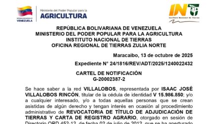 Kek6nFyf EL SUENO DE MI HIJO