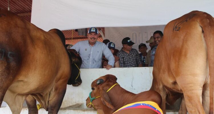 Gobernador Luis Caldera en la 48ª Feria Expocomercial Ganadera de Rosario de Perijá: Esta es una muestra de la Venezuela y el Zulia potencia 1 Caldera