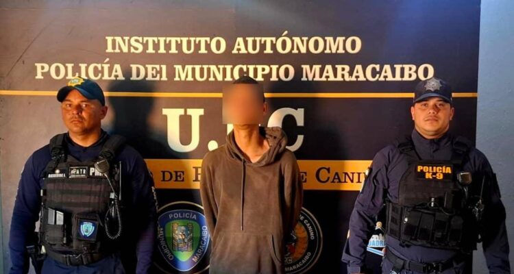 Detenido joven por hurtar material estratégico de la plaza San José Gregorio Hernández 1 Detenido
