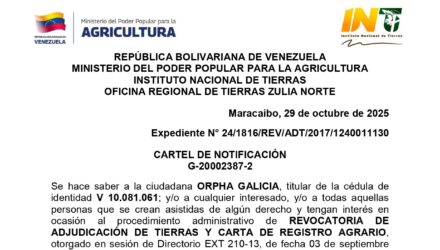 v6RlQPKW EL PORVENIR