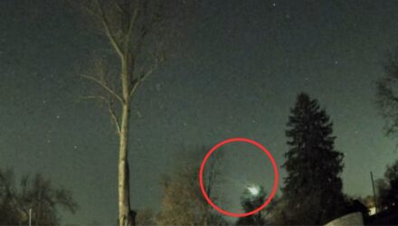 Bola
