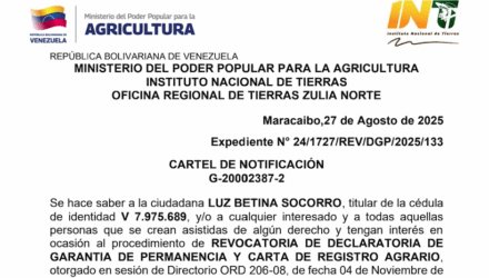 Captura de pantalla 2025 11 17 a las 16.45.09