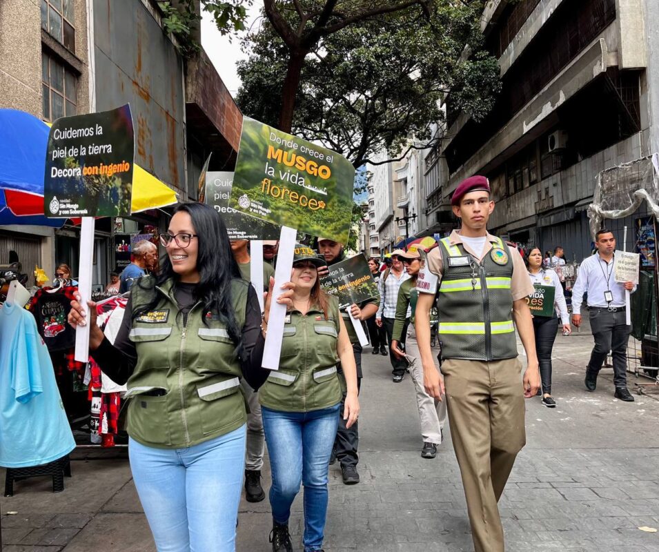 Gobierno Nacional ratificó prohibición de venta de musgo 2 Musgo 4 955x800 1