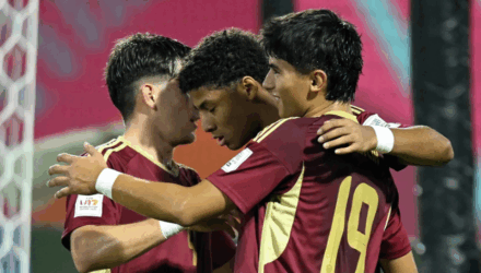 Vinotinto