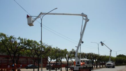 Alcaldía