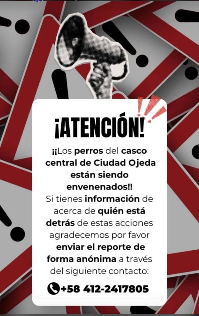 Investigan presunto envenenamiento de perros comunitarios en Lagunillas 3 WhatsApp Image 2025 11 11 at 9.41.00 AM 646x1024 1