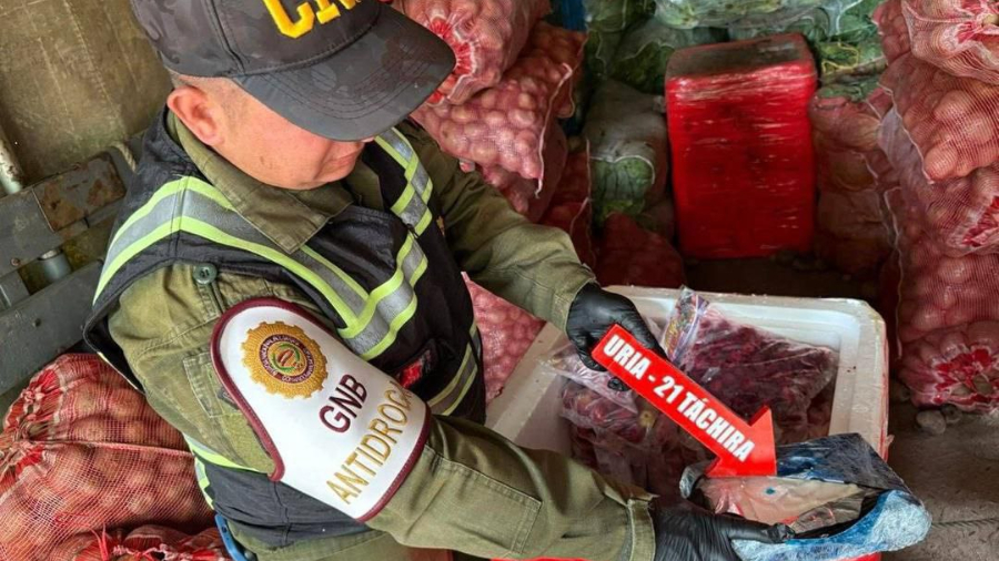 Incautaron 25 envoltorios de presunta cocaína en el estado Táchira 2 cortesia gnb incauta drogas en tachira 51061