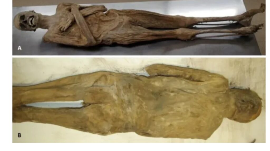 Estos son los misterios históricos que fueron resueltos por la ciencia en 2025 2 1766600682774