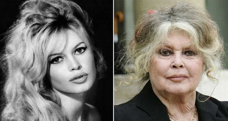 Murió Brigitte Bardot, legendaria actriz francesa y activista de los derechos de los animales, a los 91 años 1 Brigitte Bardot
