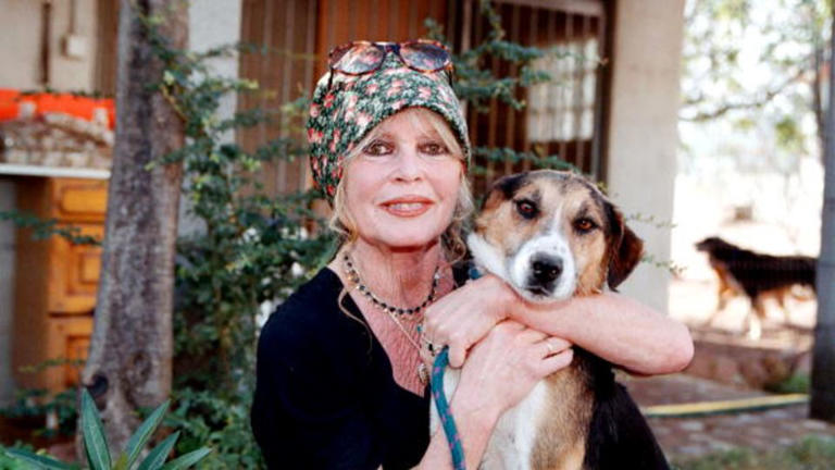 Murió Brigitte Bardot, legendaria actriz francesa y activista de los derechos de los animales, a los 91 años 2 Brigitte Bardot visita su refugio