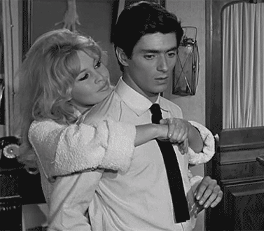Murió Brigitte Bardot, legendaria actriz francesa y activista de los derechos de los animales, a los 91 años 6 Brigitte