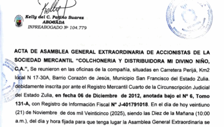 Captura de pantalla 2025 12 08 a las 12.44.24 p. m