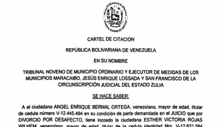 Captura de pantalla 2025 12 13 a las 11.42.01