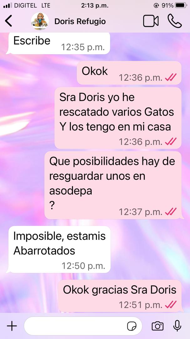 Doris 2