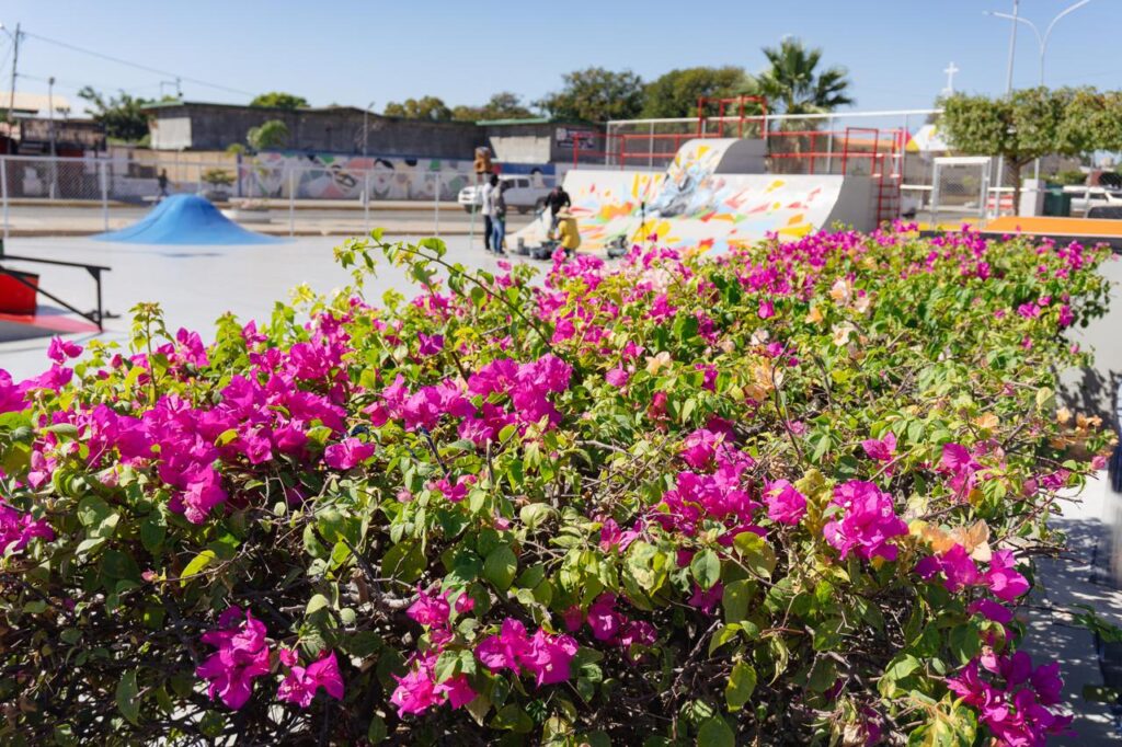 Tras años de abandono: Alcaldía de San Francisco inició rehabilitación del parque «Hugo el Duro» 5 IMG 20251224 WA0054
